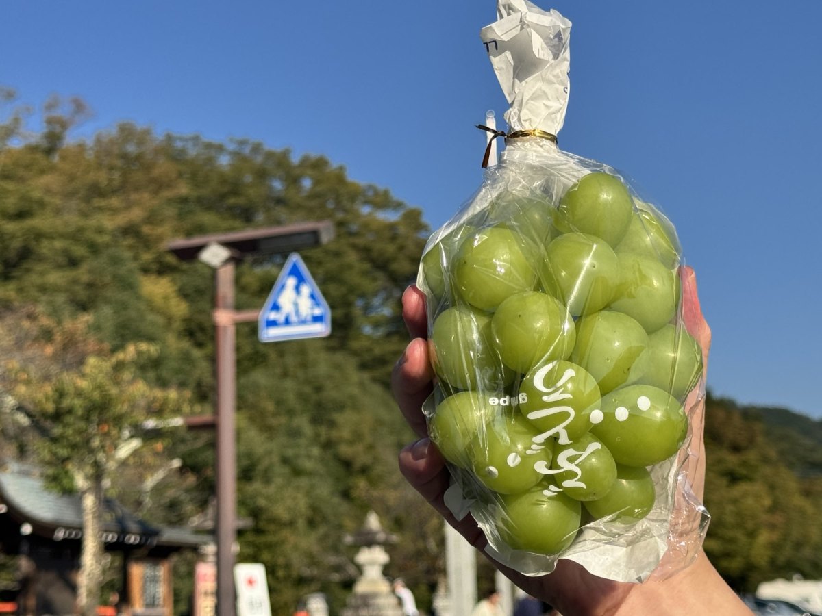 10月20日 無風的搬家